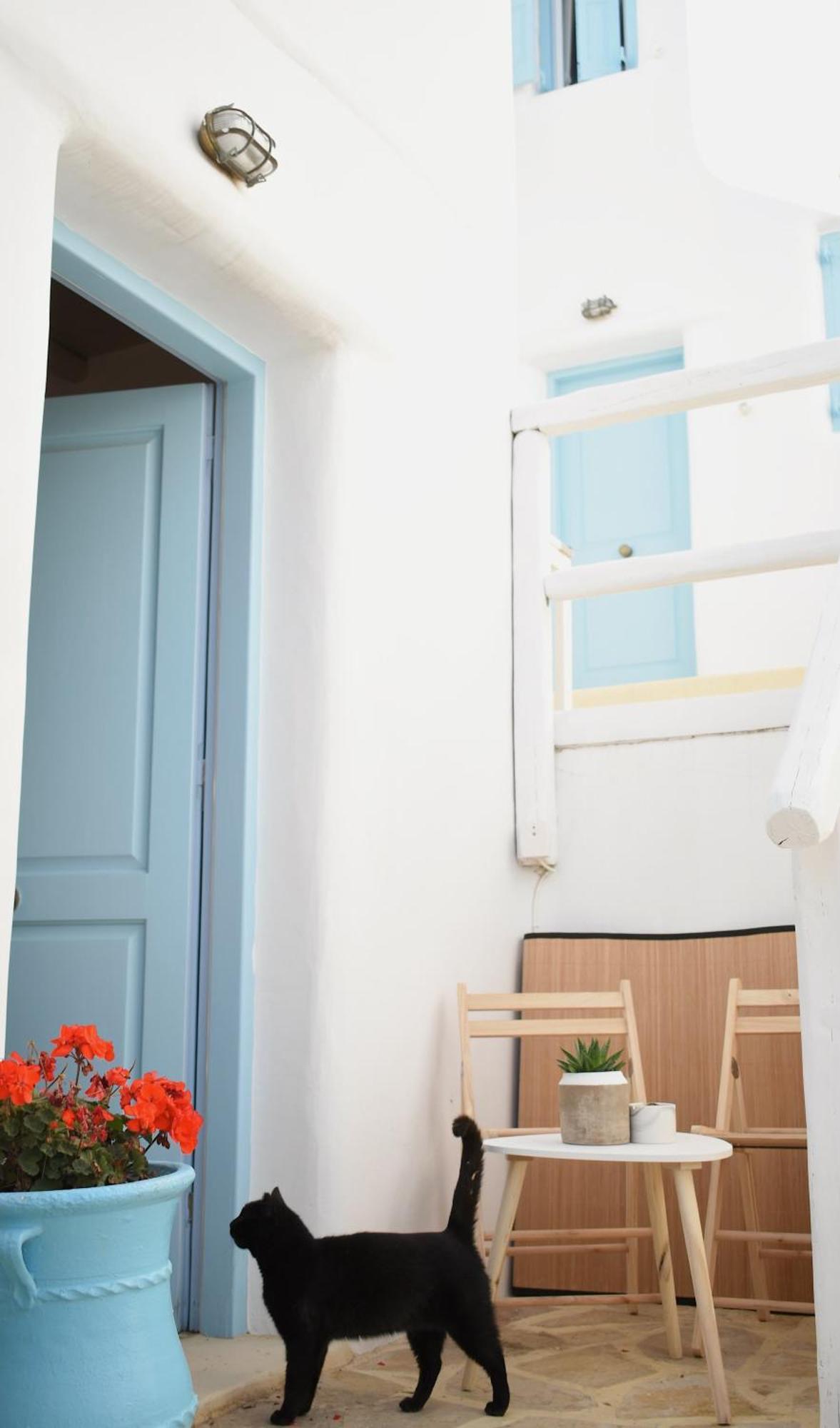 Nisos Home Stay Mykonos Town Zewnętrze zdjęcie